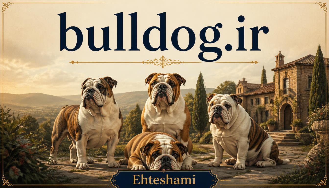 bulldog.ir