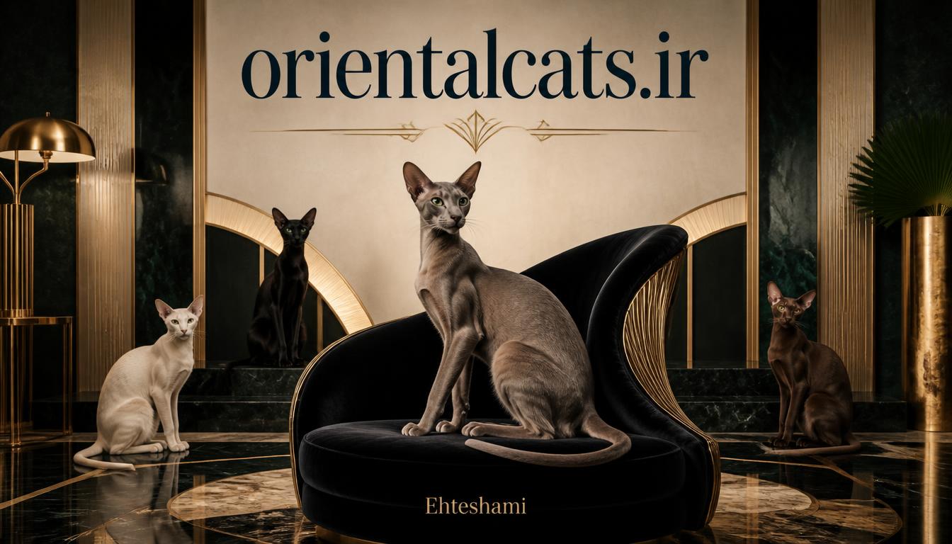 orientalcats.ir
