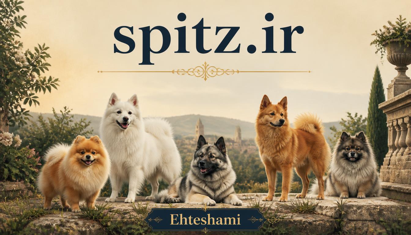 spitz.ir