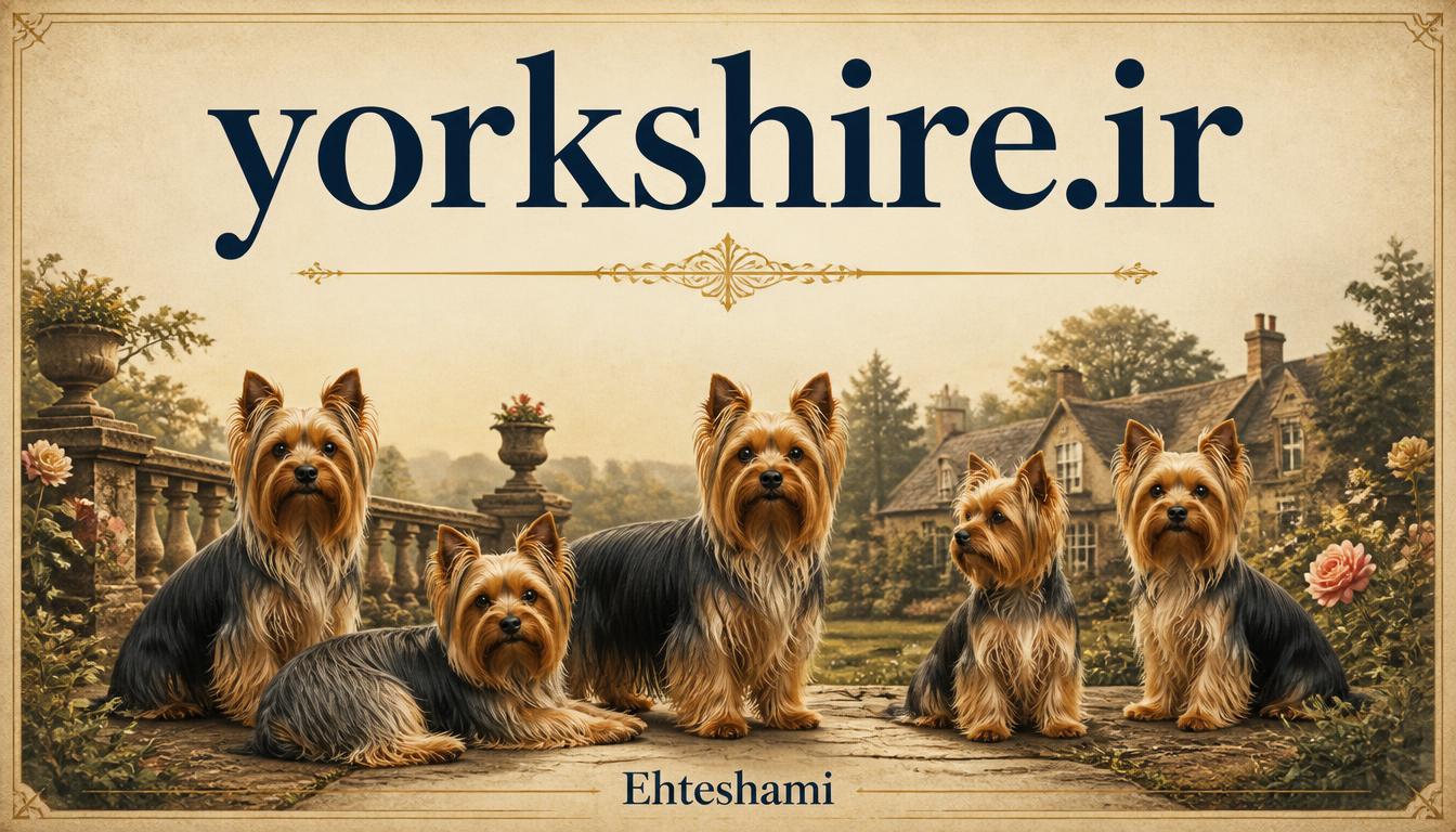 yorkshire.ir